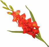 Цветок искусственный Floralsilk Гладиолус красный, 101см 11193RED