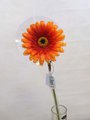 Цветок искусственный Гербера оранжевая 62см Floralsilk BB21184FLA