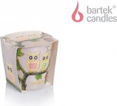 Свеча Смешные совы, стакан Bartek Candles 5901685046794