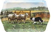Поднос малый "Колли-пастуx" 21x14см The Leonardo Collection LP91211