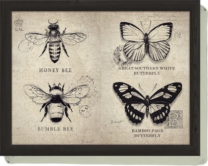 Поднос на подушке Creative Tops Бабочки и пчелы, 44x34см 5138293