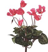 Цветок искусственный Цикламен букетик 25см тёмно-розовый мини Floralsilk 12090D-PI