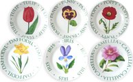 Набор тарелок Lesser & Pavey Цветы, 19см, 6шт LP99995n