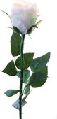 Цветок искусственный Atelier de Fleur Роза Богема бело-розовая 65см WAF0339-TA