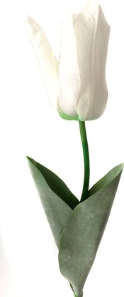 Цветок искусственный Atelier de Fleur Тюльпан Фаворит белый 58см WAF1266-TA