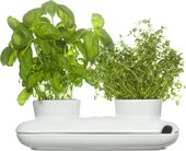 Горшок для растений SagaForm Kitchen Дуэт 5015859