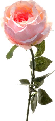 Цветок искусственный Atelier de Fleur Роза Престиж шиповник ярко-розовая 68см WAF1154-TA