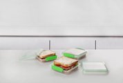 Набор контейнеров для сэндвичей Sistema Fresh, 450мл, 3шт, салатовый 951643