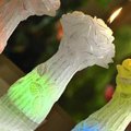 Bartek Candles BOUQUET ROSE Свеча "Букет", фигурка с подсветкой 200мм, артикул 5907602662672