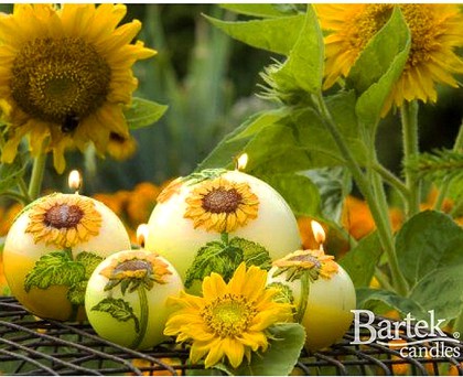 Bartek Candles SUNFLOWER Свеча "Подсолнечник" - образ коллекции A, шар, диаметр 60мм, артикул 5907602648157
