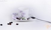 Набор кофейный Флорида, 6 персон, 12 пр. Top Art Studio LD1179-TA