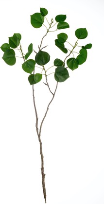 Декоративная ветка Asa Selection Deko с зелёными листьями, 79см 66469/444