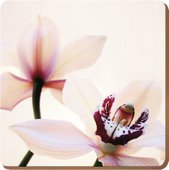 Подставки на пробке Орхидея Элегант 29х29см, 4шт Creative Tops 5176468