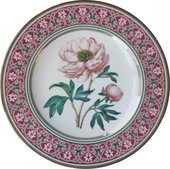 Тарелка декоративная ИФЗ Европейская, Дивный пион, 270мм, подарочный набор, фарфор 81.32771.00.1