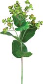 Цветок искусственный "Гиперикум зелёный" 23 ягоды, 72см Floralsilk P14216GR