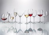Бокалы для белого вина Crystalite Bohemia Гастро Колибри Рококо, 6шт, 450мл 4S032/450/280525