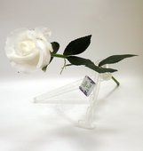 Цветок искусственный Atelier de Fleur Роза Алба белая 45см WAF1147-TA