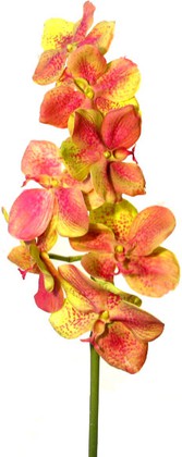 Цветок искусственный Atelier de Fleur Орхидея Ванда зелёно-розовая 86см HSD0310-TA