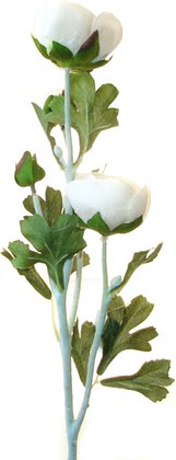 Цветок искусственный Atelier de Fleur Ранункулус кремовый 66см HAF0357-TA