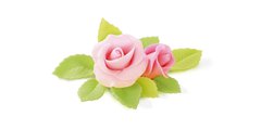 Формочки Tescoma Delicia Deco с поршнем, листья розы, 3шт 632940.00