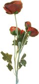 Цветок искусственный Atelier de Fleur Ранункулус красный 52см HAF0351-TA