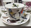 Чайная пара Roy Kirkham Chatsworth Садовые птицы, 450мл XGAR1100