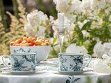 Чашка с блюдцем ИФЗ Соло, Monplaisir Green, 265мл, фарфор 81.32898.00.1