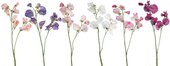 Цветок искусственный Душистый горошек микс, 35см Floralsilk 11692ASS