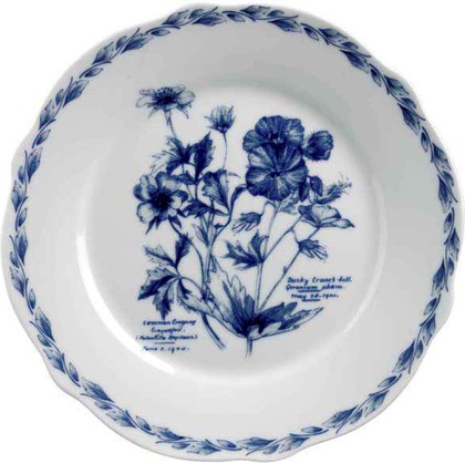Набор тарелок Queens Английский сад, 2шт RHSG00111