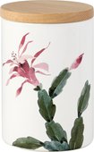 Ёмкость с крышкой для хранения продуктов Nuova Cer Cactus 800мл 5010-CAT