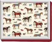 Поднос с подушкой День на скачкаx 44x34см Creative Tops 5138206