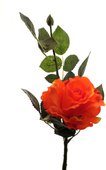 Цветок искусственный Atelier de Fleur Роза Лимбо с почкой оранжево-красная 30см WAF1157-TA