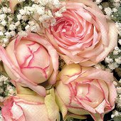 Салфетки для декупажа Paper+Design Королевский цветок, 25x25см, 20шт 10739