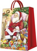 Пакет подарочный бумажный Paw Санта у камина 30x41x12см AGB021002
