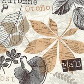Салфетки коктейль Коллаж, 25x25см, 3 слоя, 20шт Paper+Design 12009