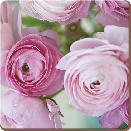Подставки под тарелки на стол Creative Tops Розовые розы 29x29см, 4шт, пробка 5176734