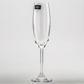 Бокалы для шампанского Crystalite Bohemia Гастро Колибри, 6шт, 220мл 4S032/220