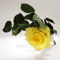 Цветок искусственный Top Art Studio Роза Лимбо ярко-жёлтый, 30см WAF0932-TA