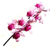 Цветок искусственный Орхидея Каттлея, фиолетовая, 73см Top Art Studio HSD0311-TA