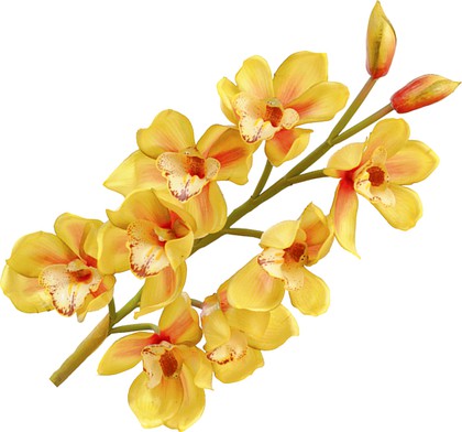 Floralsilk Искусственные цветы "Орхидея Цимбидиум", 8 цветков и 2 бутона, длина 87см, с эффектом живого прикосновения, артикул 11421GR