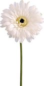 Цветок искусственный Floralsilk Гербера белая 64см BB21184WH