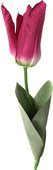 Цветок искусственный Atelier de Fleur Тюльпан Фаворит красный 58см WAF1269-TA