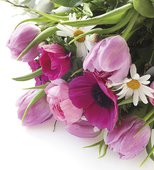 Салфетки для декупажа Paw Розовый букет, 33x33см, 20шт TL332000