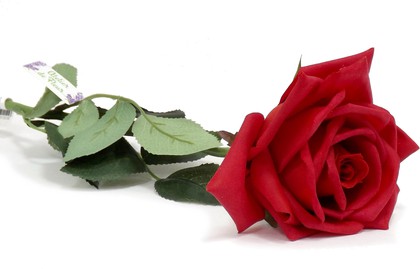 Цветок искусственный Atelier de Fleur Роза Гран При красная 65см WAF1151-TA